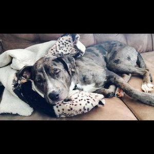 Meet your Posher, Brianne